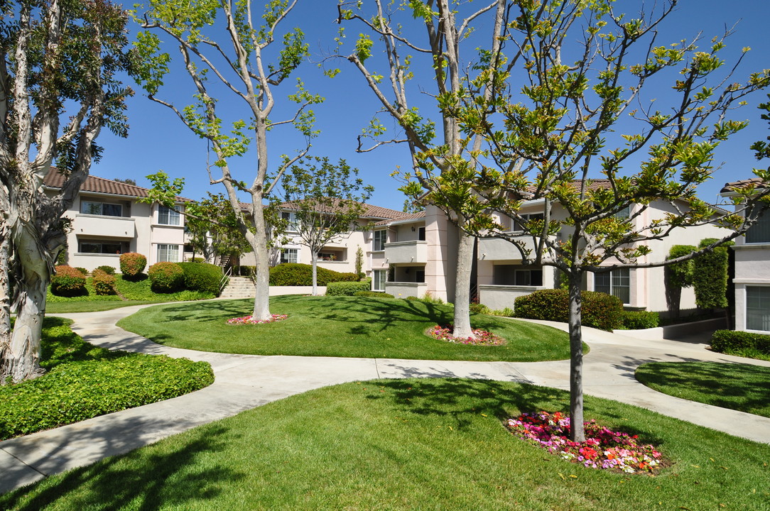 Ritz Colony in Encinitas, CA - Foto de edificio