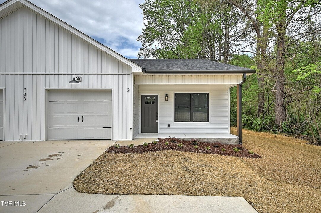 703 Swadley Rd in Johnson City, TN - Foto de edificio