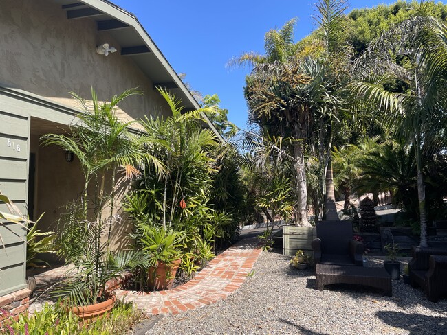 818 Hygeia Ave, Unit 818