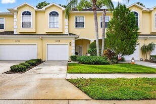 3408 Primrose Way in Palm Harbor, FL - Building Photo