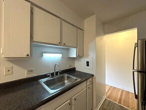 432 W Oakdale Ave, Unit 3 in Chicago, IL - Building Photo - Building Photo