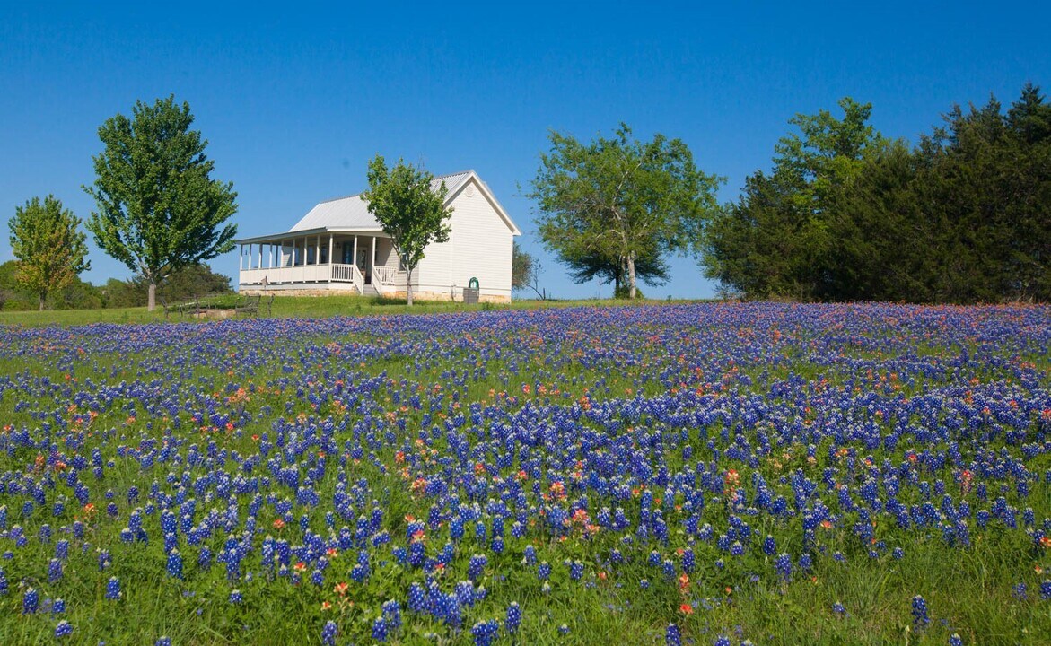 3831 Meadow View Ln in Fayetteville, TX - Building Photo