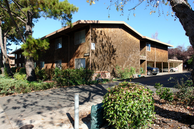 Beverly Apartments in Rohnert Park, CA - Building Photo - Building Photo