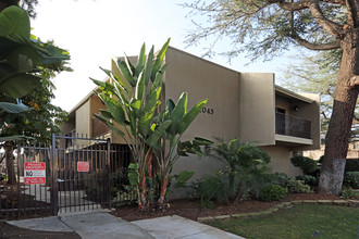 The Pines in El Cajon, CA - Foto de edificio - Building Photo