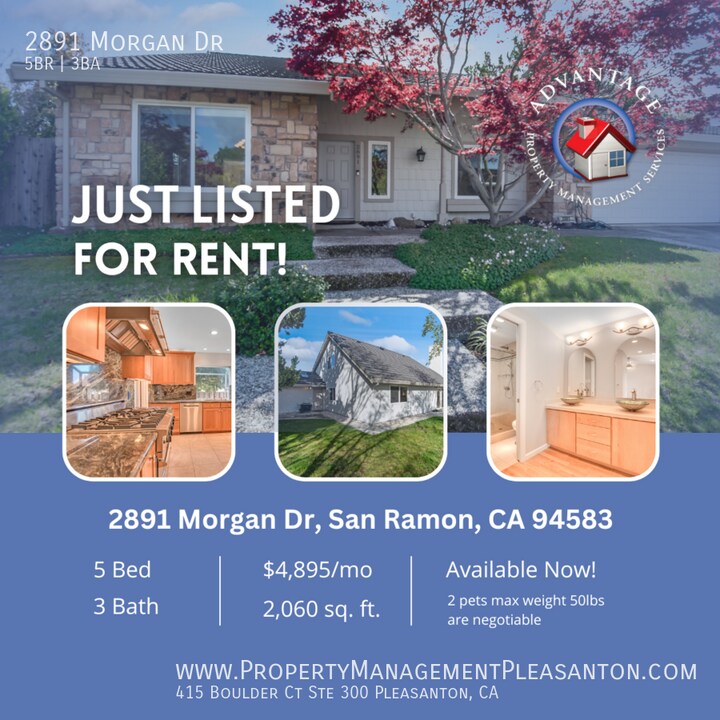 2891 Morgan Dr in San Ramon, CA - Foto de edificio