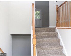 382 Paul Dr in Smyrna, DE - Foto de edificio - Building Photo