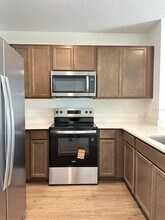 31206 Midnight Sun Wy in Wesley Chapel, FL - Building Photo - Building Photo