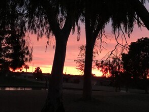 1396 Leisure World in Mesa, AZ - Building Photo - Building Photo