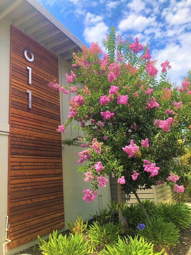 611 San Luisito Way Apartments and Nearby Sunnyvale Apartments For Rent Sunnyvale, CA