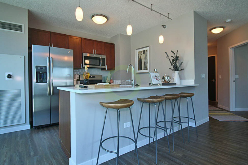 345 E Ohio St in Chicago, IL - Building Photo