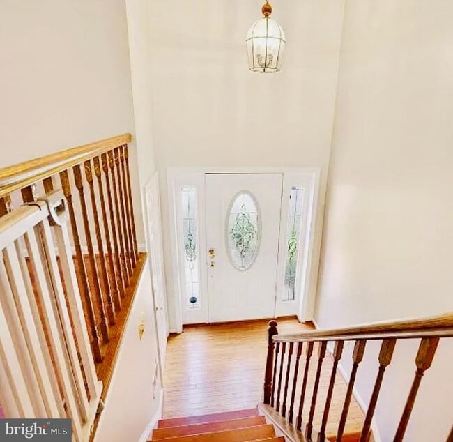 7620 Maritime Ln in Springfield, VA - Building Photo - Building Photo
