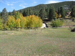 509 Mountain View Pl, Unit Apt E in Woodland Park, CO - Foto de edificio - Building Photo