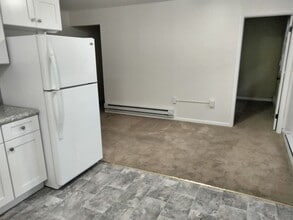 1007 Butler St in Easton, PA - Building Photo - Building Photo