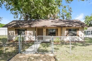 502 N Simpson St in Mount Dora, FL - Building Photo