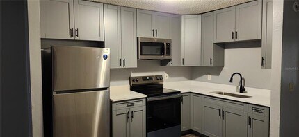 9816 N 12th St in Tampa, FL - Foto de edificio - Building Photo
