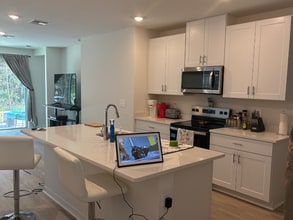 7528 Mia Vine Dr in Brooksville, FL - Building Photo - Building Photo