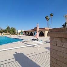 2150 E Ellis Dr in Tempe, AZ - Building Photo - Building Photo