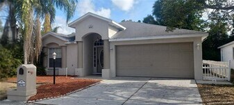 10907 New Brighton Ct in New Port Richey, FL - Building Photo