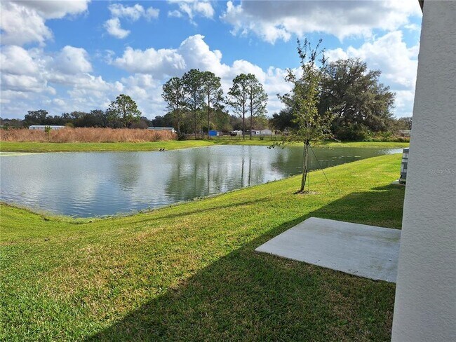 34609 Telluride Ln in Zephyrhills, FL - Building Photo - Building Photo