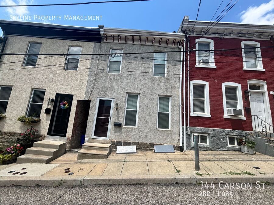 344 Carson St in Philadelphia, PA - Building Photo