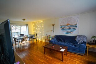 212 Giles St Townhouses-available August 2023