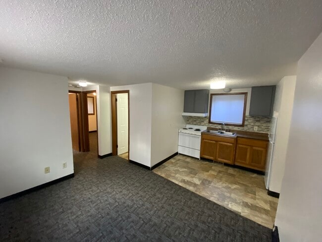 915 4th St SE, Unit 2 in Rochester, MN - Building Photo - Building Photo