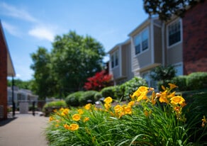 Chestnut Ridge Apartments in Pittsburgh, PA - Building Photo
