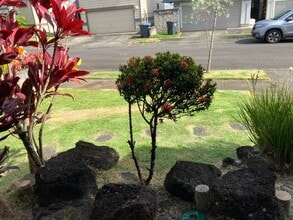 95-2052-2052 Puukaa St in Mililani, HI - Building Photo - Building Photo