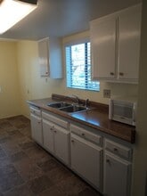 223 Fraxinella St in Encinitas, CA - Foto de edificio - Building Photo