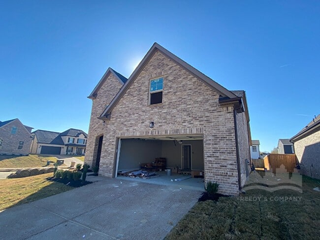 property at 10007 Messana St