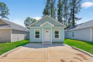 9755 Black Gum in Willis, TX - Building Photo