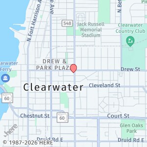 1016 Grove St in Clearwater, FL - Building Photo