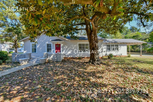 310 16th St in Tuscaloosa, AL - Building Photo - Building Photo