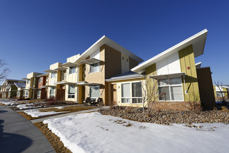 Provincetowne Green in Fort Collins, CO - Building Photo - Building Photo