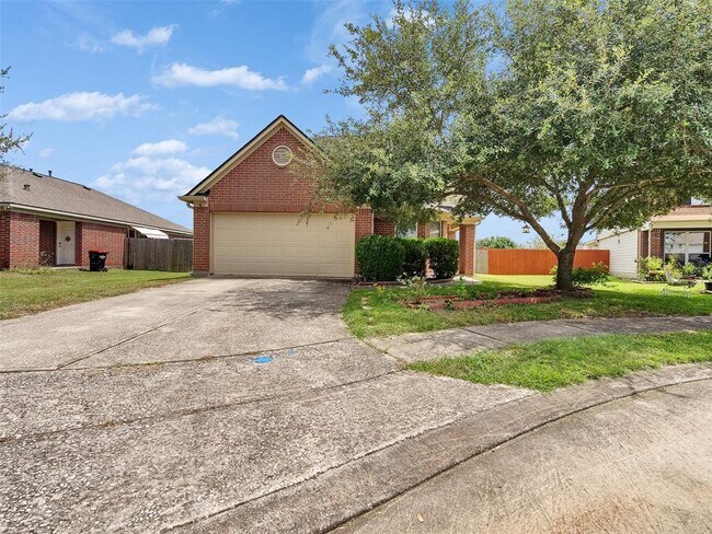14202 Old Dock Ln in Houston, TX - Building Photo - Building Photo