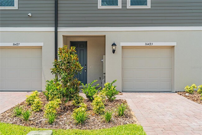 16423 Bird of Paradise Ave in Clermont, FL - Building Photo - Building Photo