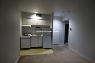 548 Columbus Ave in Boston, MA - Building Photo