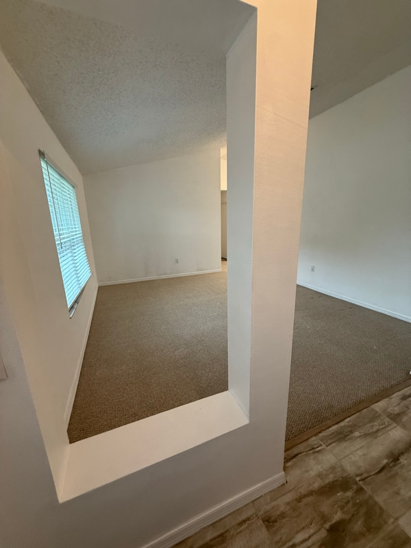 6837 Woodgrain Ct in Ocoee, FL - Foto de edificio - Building Photo