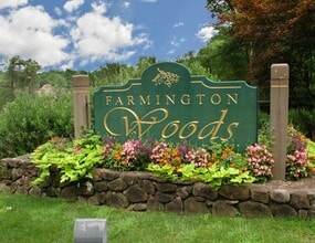 3 Woods Hollow Ct in Avon, CT - Building Photo - Building Photo