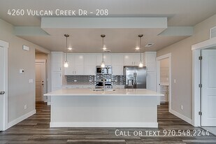 4260 Vulcan Crk Dr in Loveland, CO - Building Photo