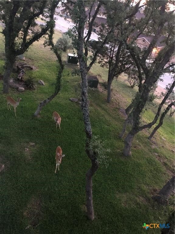 property at 943 Parkview Dr