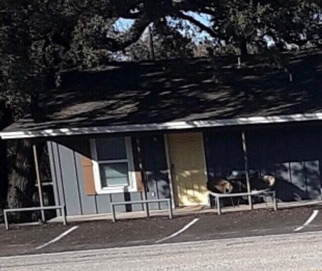17809 TX-29, Unit 17809 in Buchanan Dam, TX - Building Photo - Building Photo