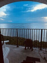 443 Mariner Dr, Unit 443 in Tarpon Springs, FL - Building Photo - Building Photo