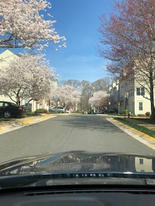 6490 Tayack Pl in Alexandria, VA - Building Photo