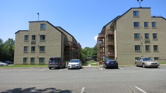 1002 Linden Ave in Charlottesville, VA - Building Photo