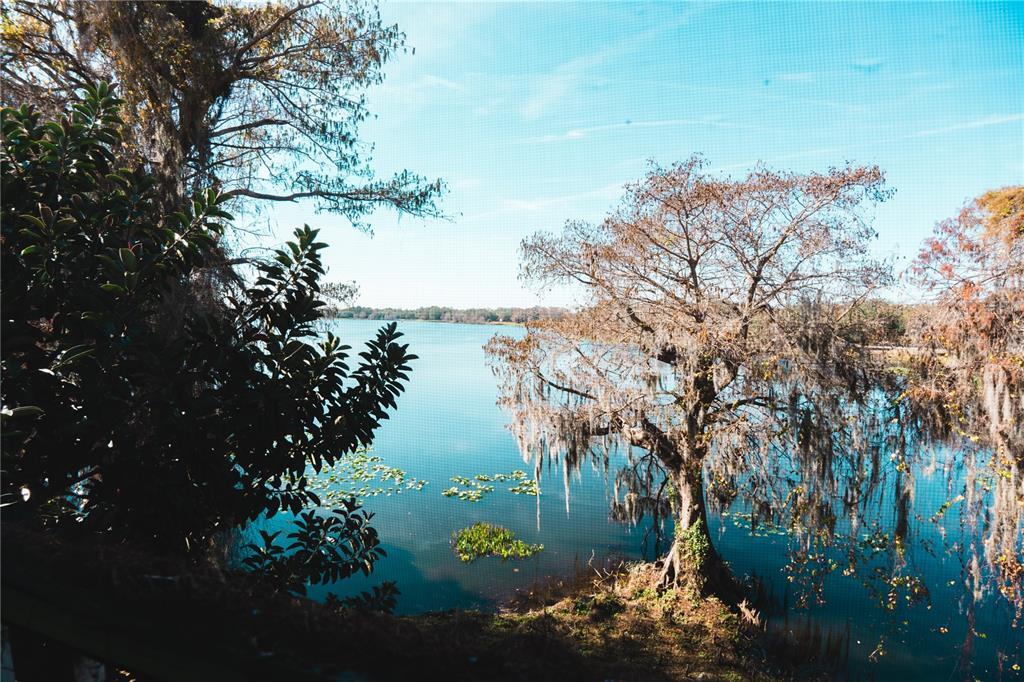 4162 Versailles Dr in Orlando, FL - Building Photo