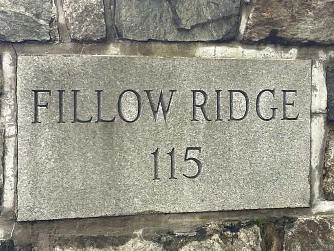 property at 115 Fillow St