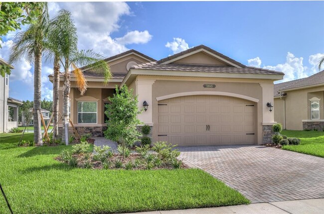 31045 Lindentree Dr in Wesley Chapel, FL - Foto de edificio - Building Photo