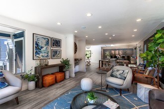 Avana Almaden in San Jose, CA - Foto de edificio - Building Photo