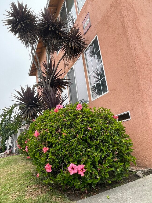 628 S Pacific Coast Hwy, Unit B